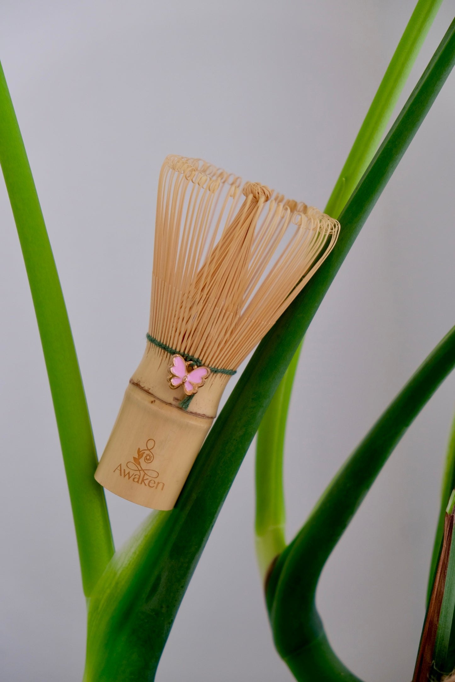 Butterfly Bamboo Chasen